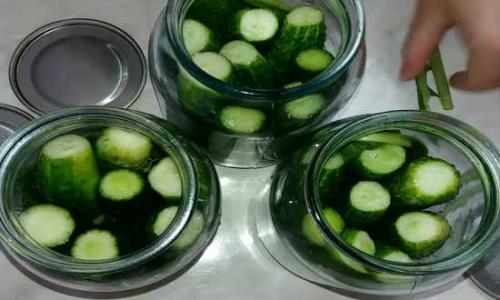 Как солить огурцы на зиму в банках простой рецепт. Как приготовить соленые огурцы на зиму без уксуса?