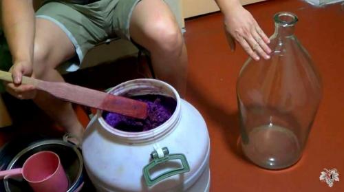 Сок из винограда молдова. Вино из Молдовы. Часть №2