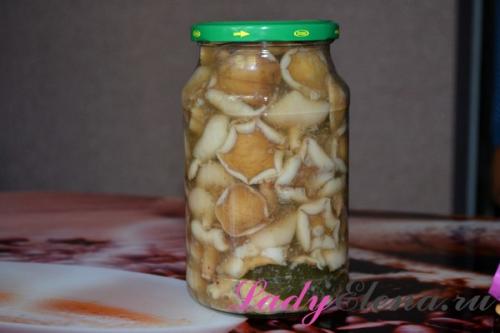 Рецепты консервирования грибов на зиму. Грибы маслята на зиму в банках — пошаговый фото рецепт