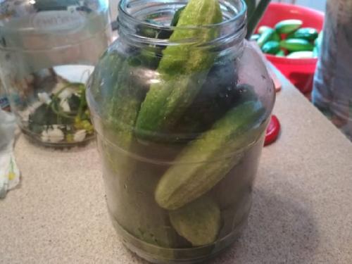 Вкусные огурцы на зиму в литровых банках с уксусом. Самые вкусные маринованные огурцы на зиму — рецепт на 2 литровую банку: