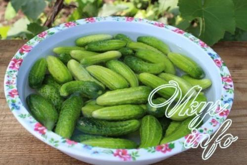 Семена горчицы для консервирования огурцов для чего. Огурцы, маринованные с семенами горчицы – 4 рецепта хрустящих огурцов на зиму 08