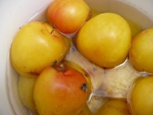 Компот из желтых слив. Компот из желтой сливы