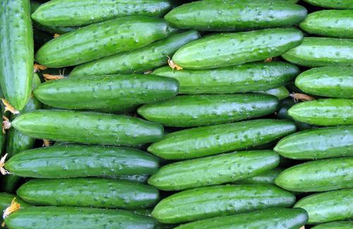 Хранение огурцов на зиму. Способы хранения 03