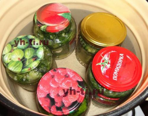 Салат из огурцов на зиму с чесноком. Салат из огурцов с зеленью и чесноком на зиму