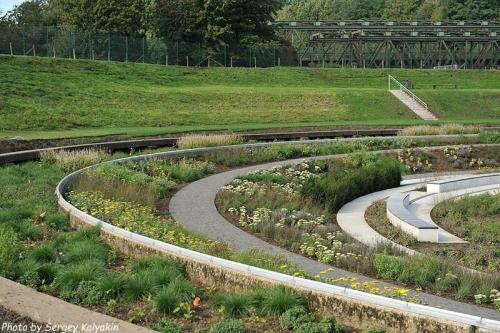 Piet oudolf. С юбилеем, Пит Удольф!