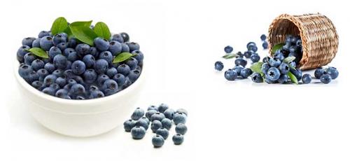 Голубика польза. Что такое голубика?