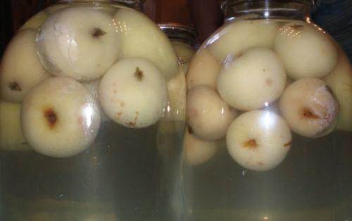Консервация яблок целиком 18 Консервация яблок целиком 18