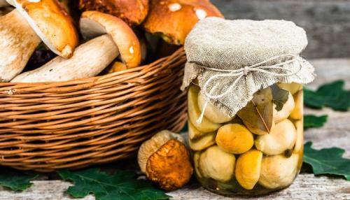 Консервация белых грибов на зиму. Маринованные белые грибы на зиму в банках — простые рецепты приготовления самых вкусных заготовок