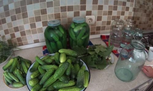 Как засолить огурцы в 3х литровой банке. Засолка хрустящих огурцов на зиму холодным способом рецепты на трехлитровую банку