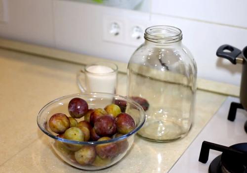 Консервируем компот из слив. Компот из сливы на зиму — 8 простых рецептов