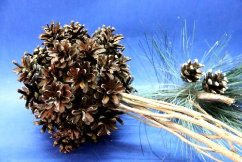 Дерево из шишек. Дерево-топиарий из шишек своими руками