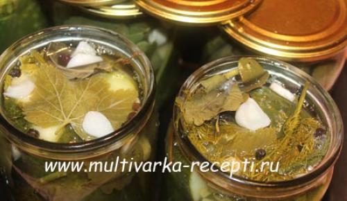 Засолка огурцов на зиму, как малосольные. Огурцы, малосольные в банке на зиму
