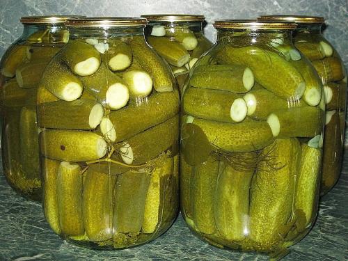 Малосольные огурцы на зиму в литровых банках. Как посолить огурцы на зиму — самые простые пошаговые рецепты. Засолка огурцов на 1 литр и 3 литровую банку