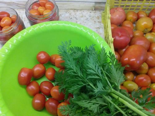 Помидоры с морковной ботвой поваренок. Помидоры на зиму без стерилизации и специй - только с морковной ботвой