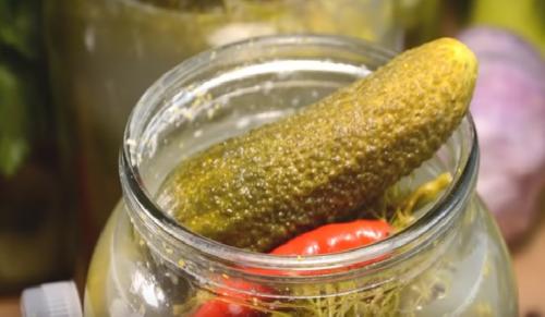 Как солить огурцы на зиму в 2 литровых банках. Засолка огурцов на зиму в литровых банках – 5 рецептов хрустящих соленых огурцов