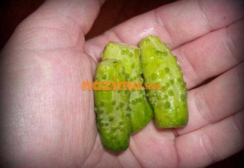 Консервация корнишонов без стерилизации. Шаги