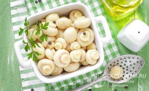Маринованные шампиньоны простой рецепт. Классический рецепт маринованных шампиньонов на зиму