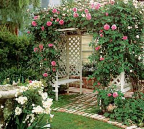 Пергола для роз. Описание перголы