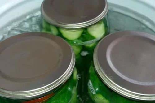 Как засолить маленькие огурчики на зиму в маленькие банки. Как посолить огурцы на зиму — самые простые пошаговые рецепты. Засолка огурцов на 1 литр и 3 литровую банку 09