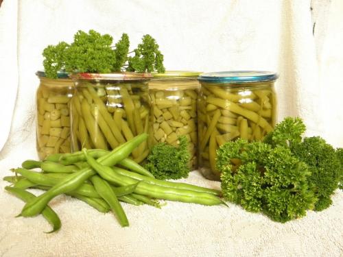 Стручковая фасоль на зиму. Квашеная фасоль на зиму
