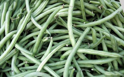 Створки фасоли при диабете 2 типа. Применение при диабете 2 типа
