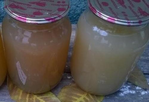 Виноградный сок с мякотью на зиму. Как приготовить сок из винограда в соковарке: