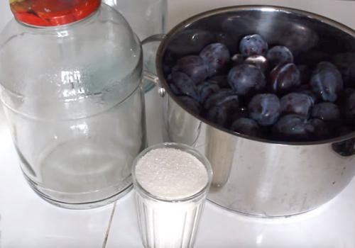 Компот из слив на зиму с косточками без стерилизации. Компот из сливы с косточками на зиму