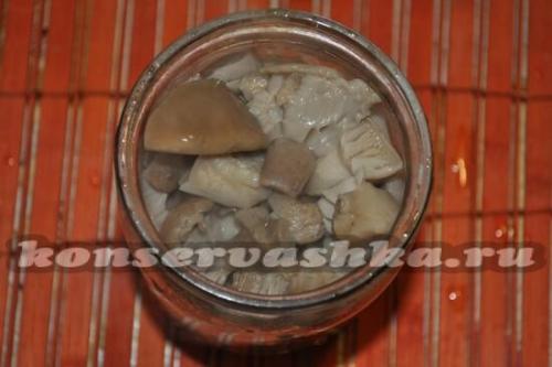 Как мариновать грибы синяя ножка. Маринованные грибы синеножки на зиму