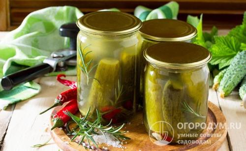 Огурцы с сухой горчицей на зиму без стерилизации. Огурцы на зиму с сухой горчицей
