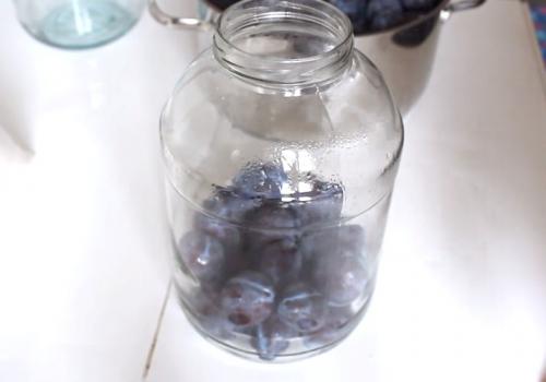 Компот из слив на зиму с косточками без стерилизации. Компот из сливы с косточками на зиму