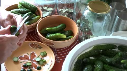 Маринованные большие огурцы рецепт на зиму хрустящие. Как замариновать большие огурцы на зиму 02