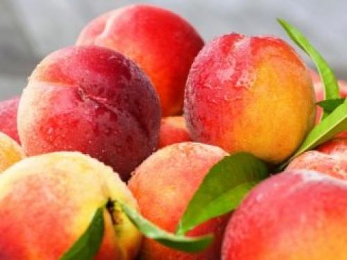 Домашние заготовки из нектарина. Рецепты