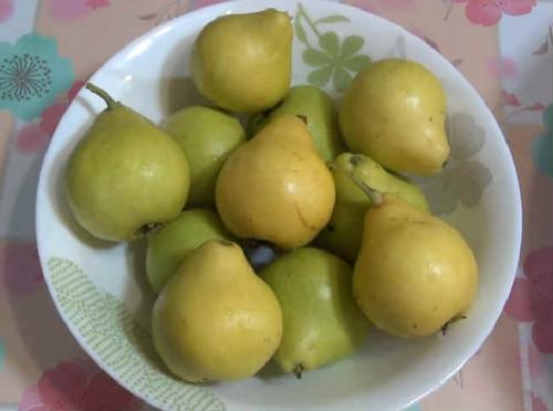 Компот из недозрелых груш на зиму. Компот из яблок и груш на зиму- простой рецепт без стерилизации на 3х литровую банку