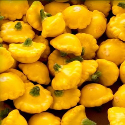 Патиссон копейка. Патиссон и всё, что с ним связано