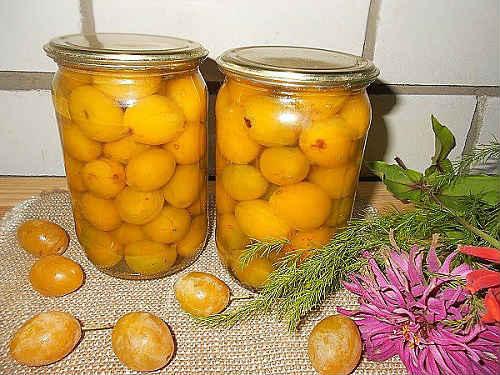 Компот из желтых слив. Компот из желтой сливы на зиму — простые рецепты