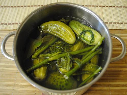 Как засолить огурцы в кастрюле. Малосольные огурцы быстрого приготовления в кастрюле