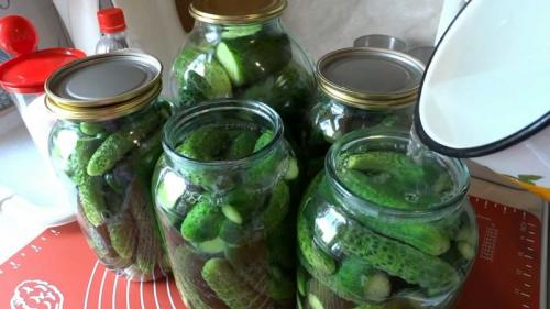 Маринованные большие огурцы рецепт на зиму хрустящие. Как замариновать большие огурцы на зиму 04