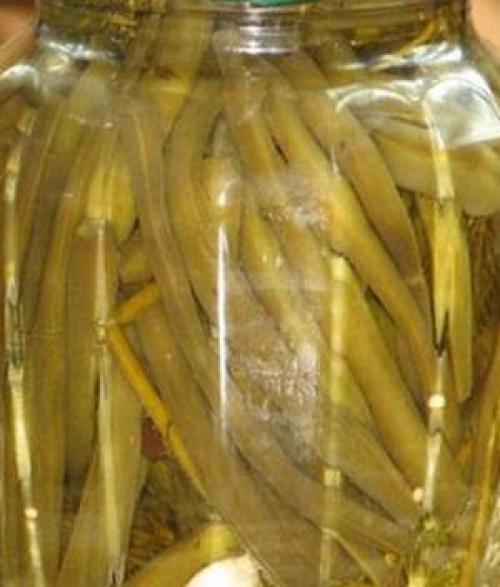 Консервы из спаржевой фасоли. Маринованная спаржевая фасоль на зиму без стерилизации