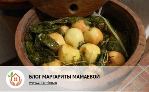 Как закрыть на зиму яблоки. Как сделать вкусные заготовки из яблок на зиму. Простые и необычные рецепты