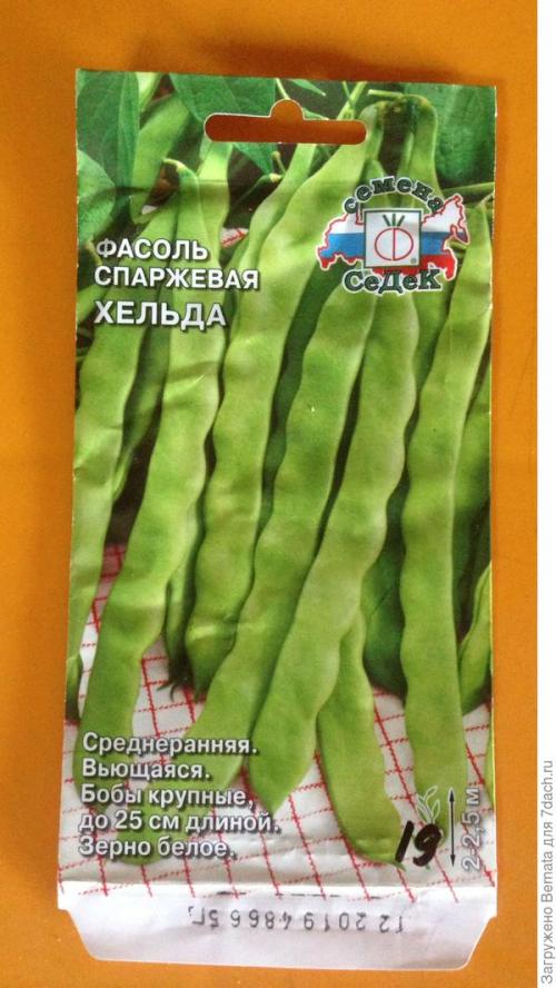 Туршевая фасоль, что это. Хельда - идеальная фасоль для турши