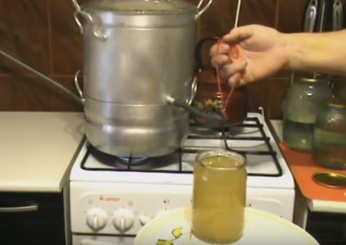 Виноградный сок с мякотью на зиму. Как приготовить сок из винограда в соковарке: