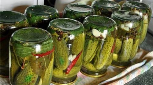 Маринованные большие огурцы рецепт на зиму хрустящие. Как замариновать большие огурцы на зиму 07