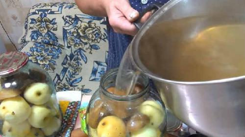 Компот из недозрелых груш на зиму. Компот из яблок и груш на зиму- простой рецепт без стерилизации на 3х литровую банку