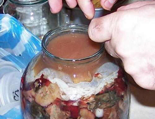 При засолке грибов появилась плесень. Кто не рискует, тот не ест соленые грибы с плесенью