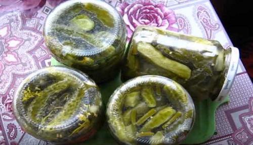 Огурцы на зиму с горчицей и чесноком. Рецепт огурцов в горчичном соусе с маслом на зиму в банках