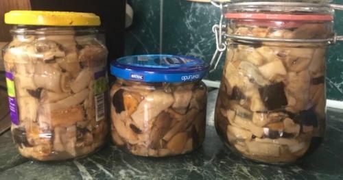 Как заготовить грибы на зиму. Грибы на зиму. Вкусные рецепты грибных заготовок в банках