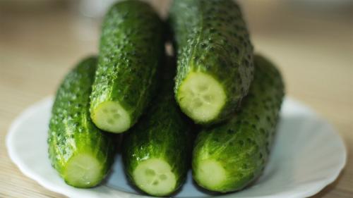 Как засолить огурцы, чтобы хрустели. Хрустящие малосольные огурчики – холодный способ засолки