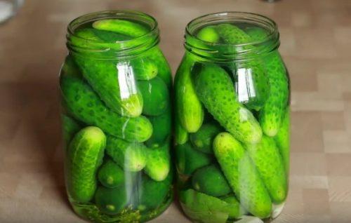 Как солить огурцы на зиму в литровых банках. Засолка огурцов на зиму в 2 и 3 литровых банках. Солим хрустящие огурцы
