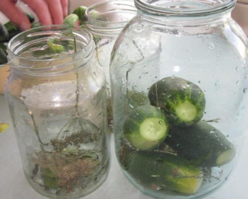 Как солить огурцы на зиму в литровых банках. Засолка огурцов на зиму в 2 и 3 литровых банках. Солим хрустящие огурцы