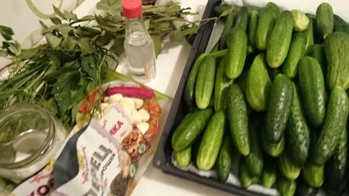 Как засолить огурцы в 3х литровой банке. Как посолить огурцы на зиму — самые простые пошаговые рецепты. Засолка огурцов на 1 литр и 3 литровую банку